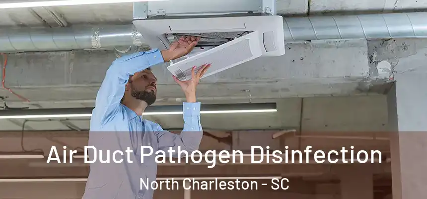  Air Duct Pathogen Disinfection North Charleston - SC
