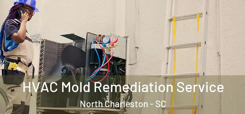  HVAC Mold Remediation Service North Charleston - SC
