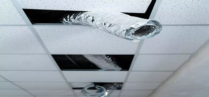 Affordable HVAC Sanitizing After Pest Removal in North Charleston