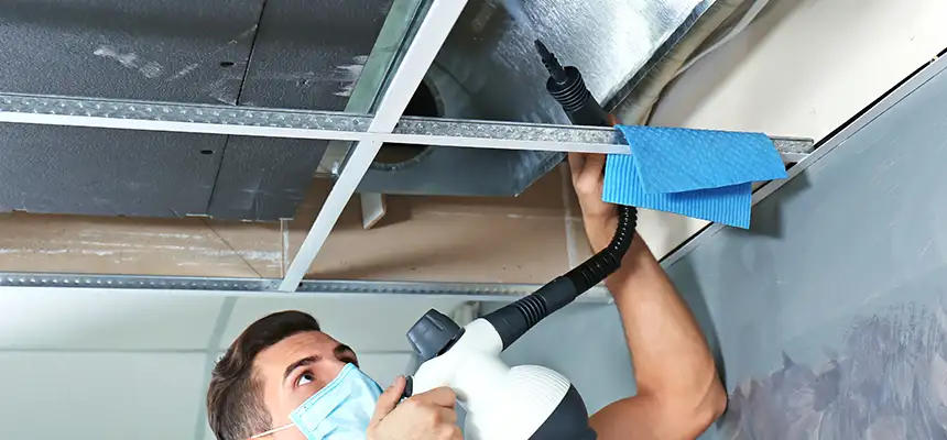 Our Air Duct Rodent Removal Services in North Charleston, SC