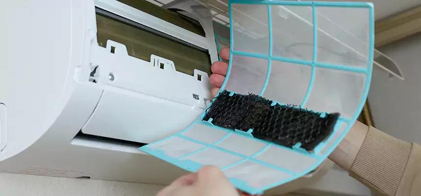 Gentle Ductwork Odor-Control Pet Dander Duct Cleaning in North Charleston, SC