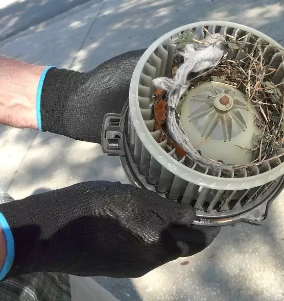 About Air Duct Rat Removal in North Charleston, SC