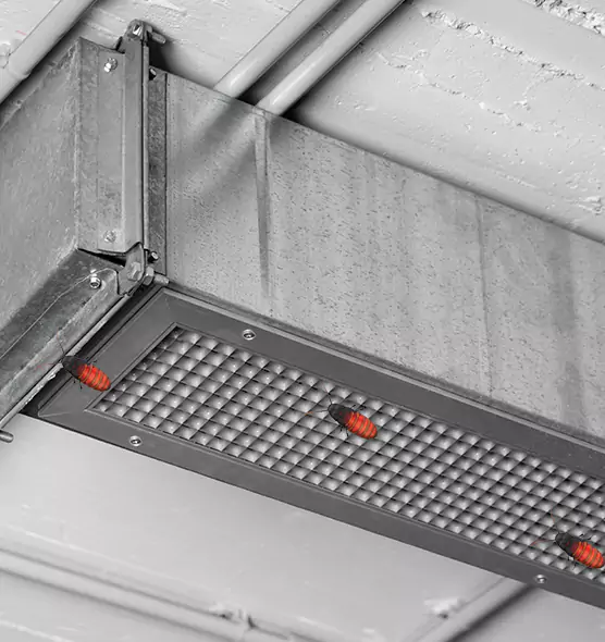 Affordable Insect Removal from Air Ducts in North Charleston, SC