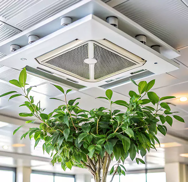 Why Homeowners & Businesses Trust Us in North Charleston, SC