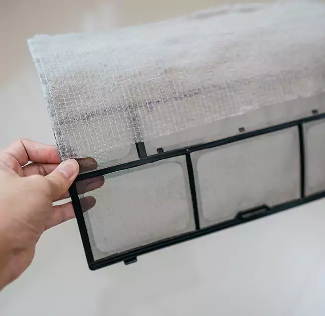 Why Homeowners & Businesses Trust Us in North Charleston, SC?