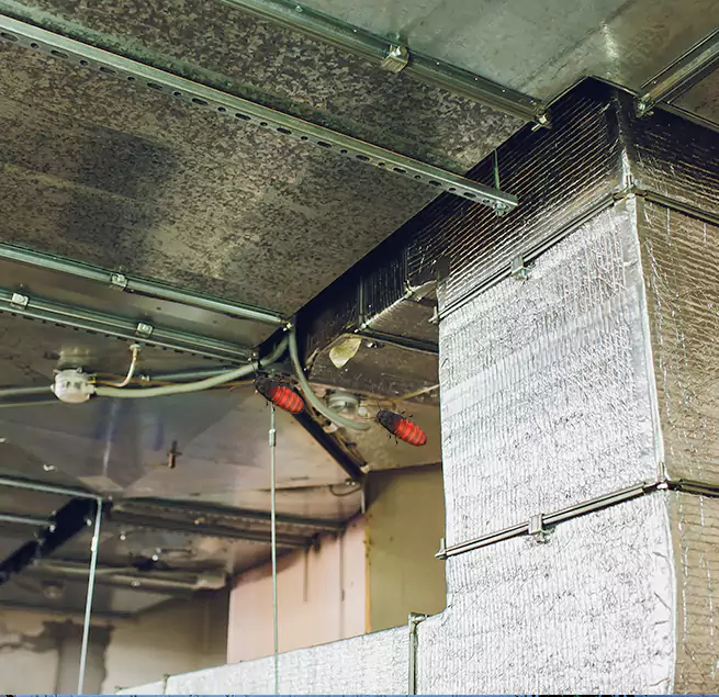 Why Homeowners & Businesses Trust Us North Charleston, SC?